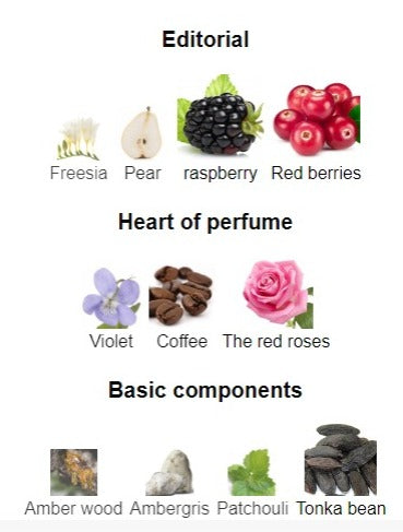 Dolce Gabbana Pour Femme Eau De Parfum Spray