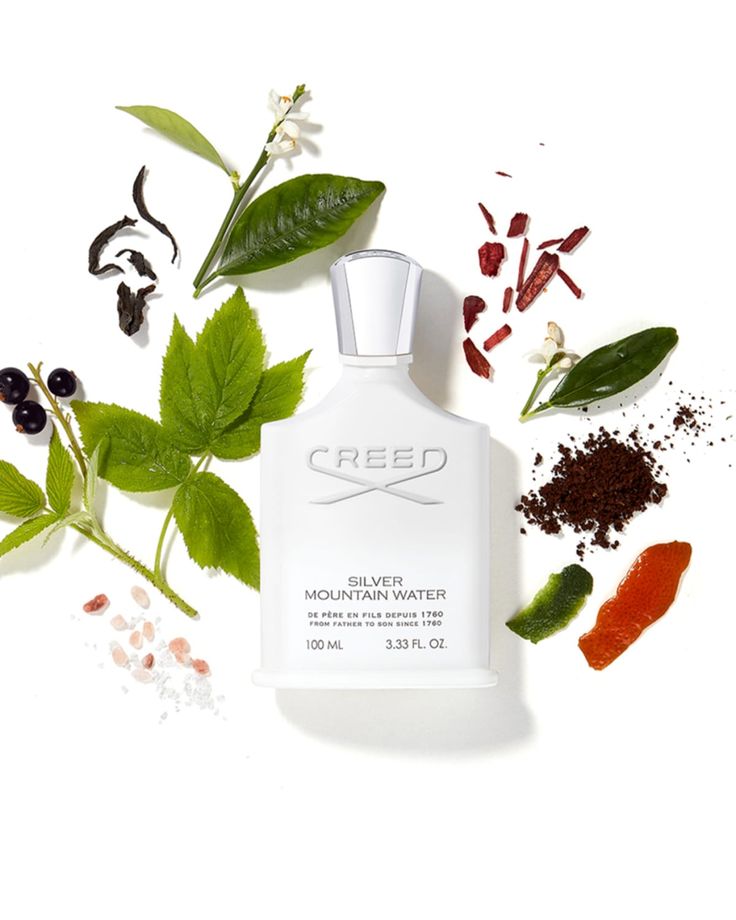creed silver mountain water