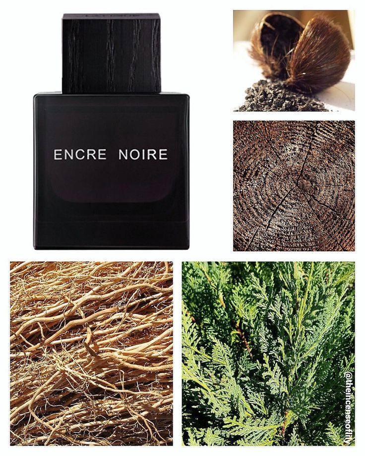 Encre Noire Lalique