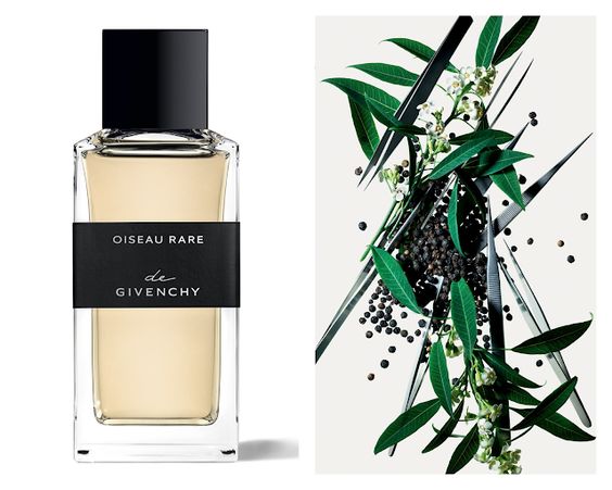 Oiseau Rare Givenchy