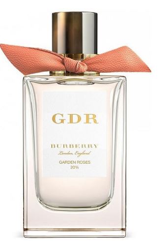 Garden Roses