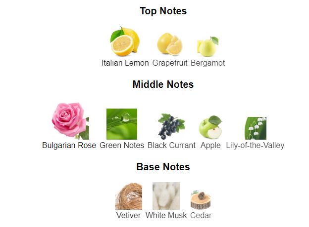 Garden Roses