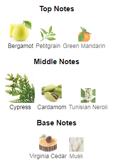 Windsor Tonic Burberry