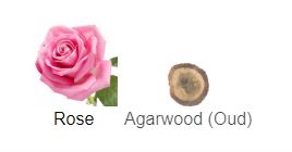 Oud & Rose