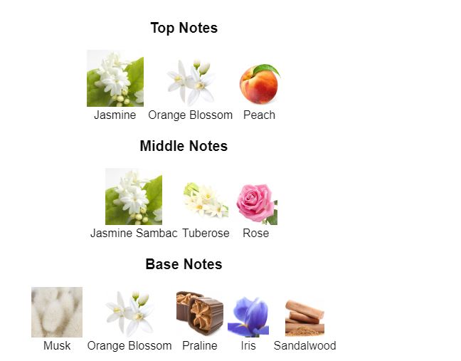 WindFlowers Creed