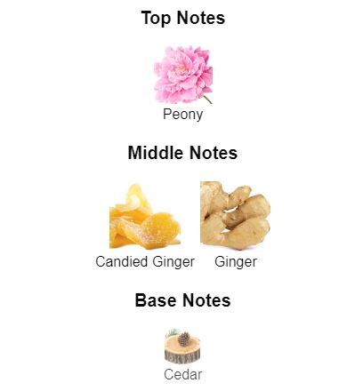 Twilly d'Hermès Eau Ginger