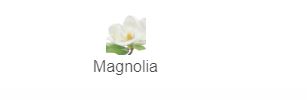 Magnolia Alba Chloé