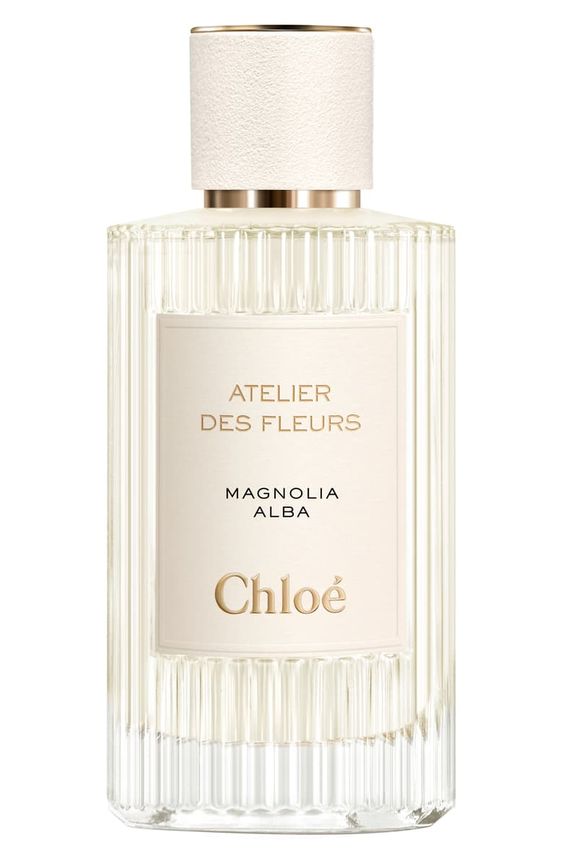Magnolia Alba Chloé