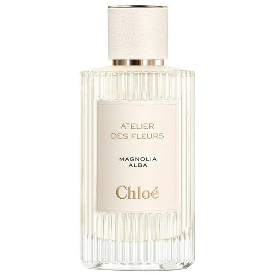 Magnolia Alba Chloé