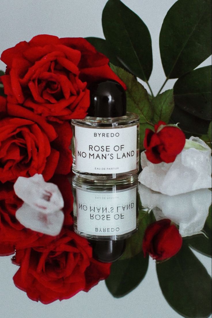 Rose of No Man's Land