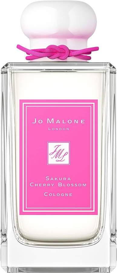 Sakura Cherry Blossom