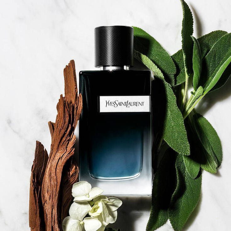 Yves Saint Laurent intense
