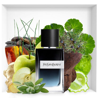 Yves Saint Laurent intense