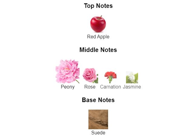 Peony & Blush Suede